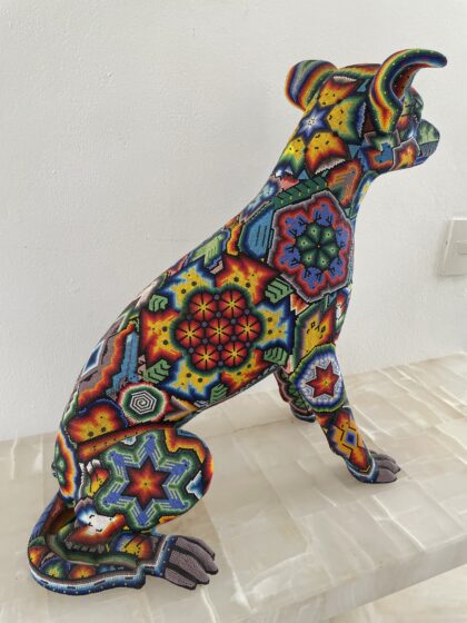 perro choloescuinctle